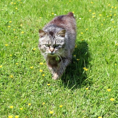 Ferienwohnung Am Einoedhof Uttendorf Zewnętrze zdjęcie