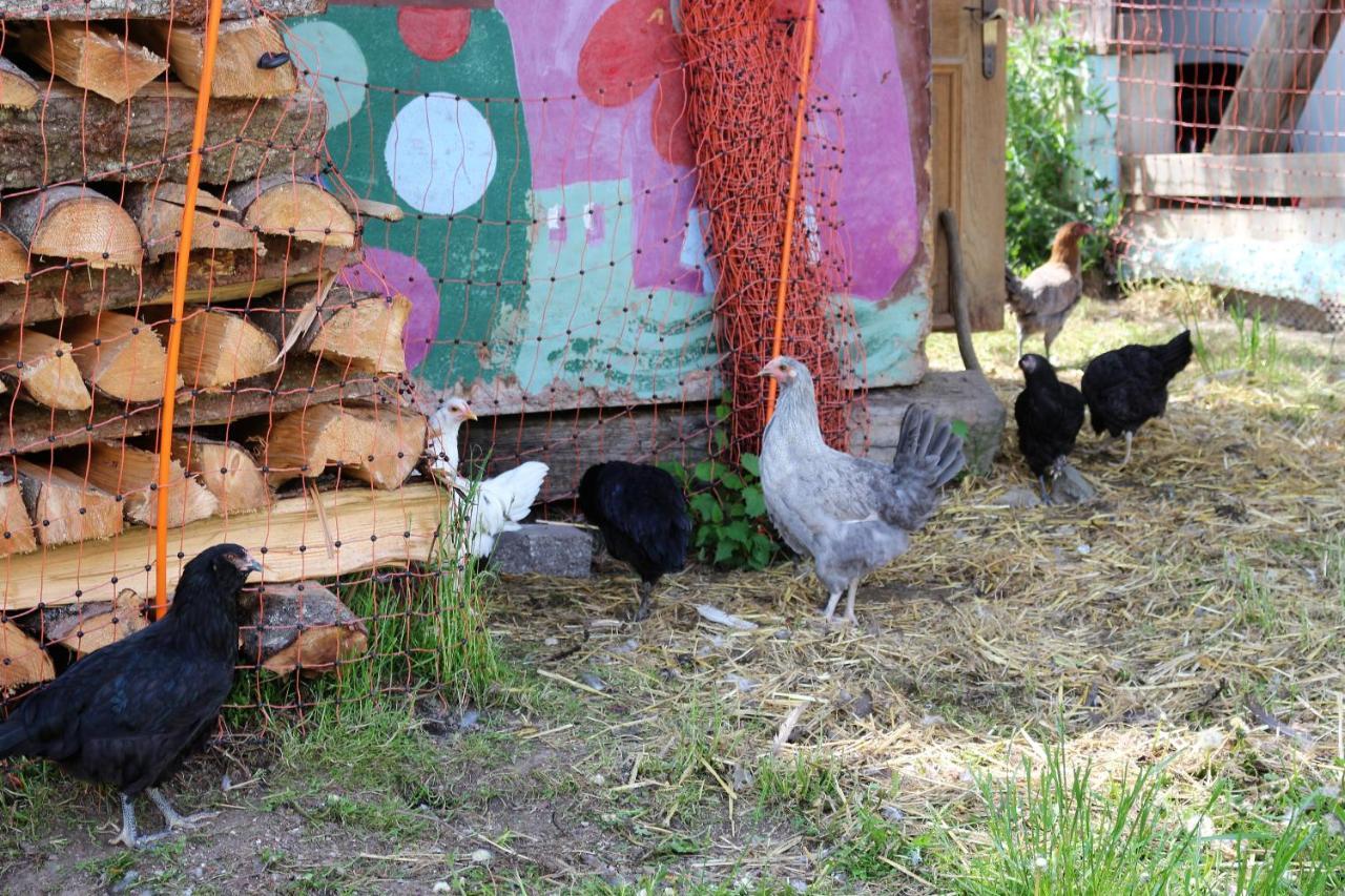Ferienwohnung Am Einoedhof Uttendorf Zewnętrze zdjęcie